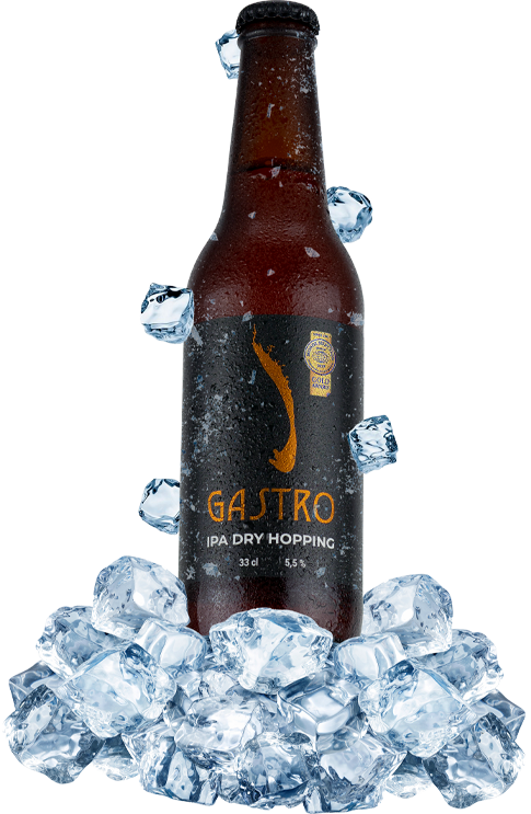 Gastro 33cl hielo